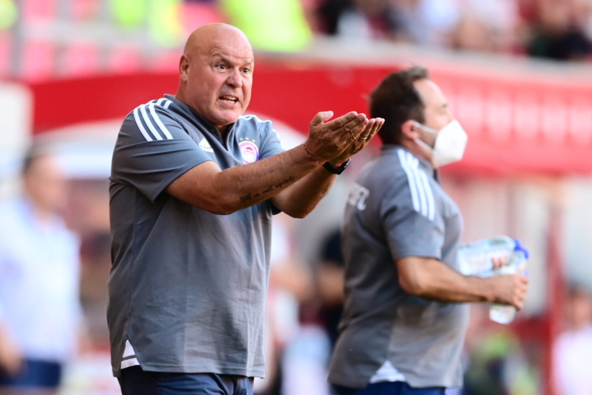 Ζοζέ Ανιγκό