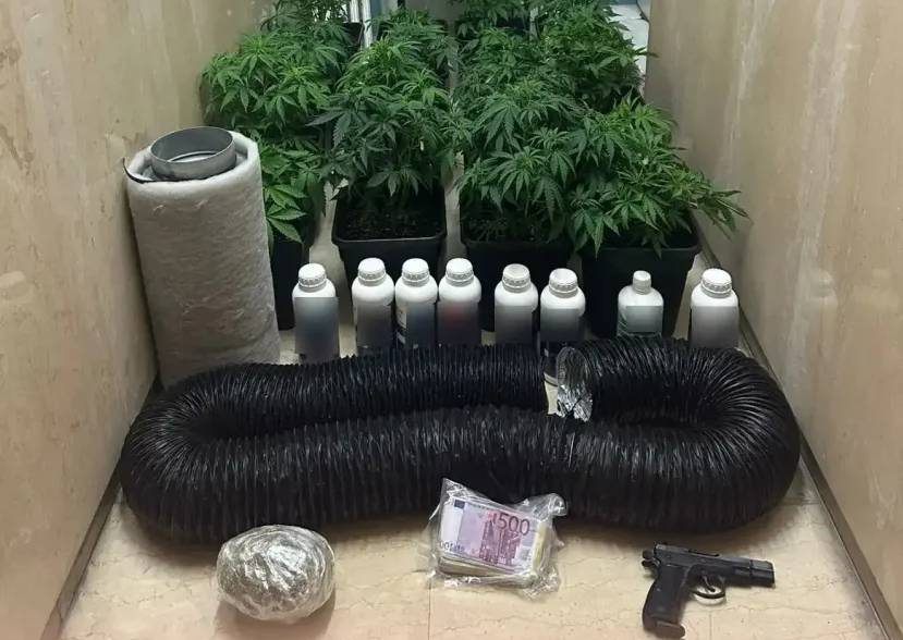 Τηλεφωνικές απάτες: Συνελήφθη και αθλήτρια των Ολυμπιακών Αγώνων – Ο ρόλος της 37χρονης και το αρχηγείο