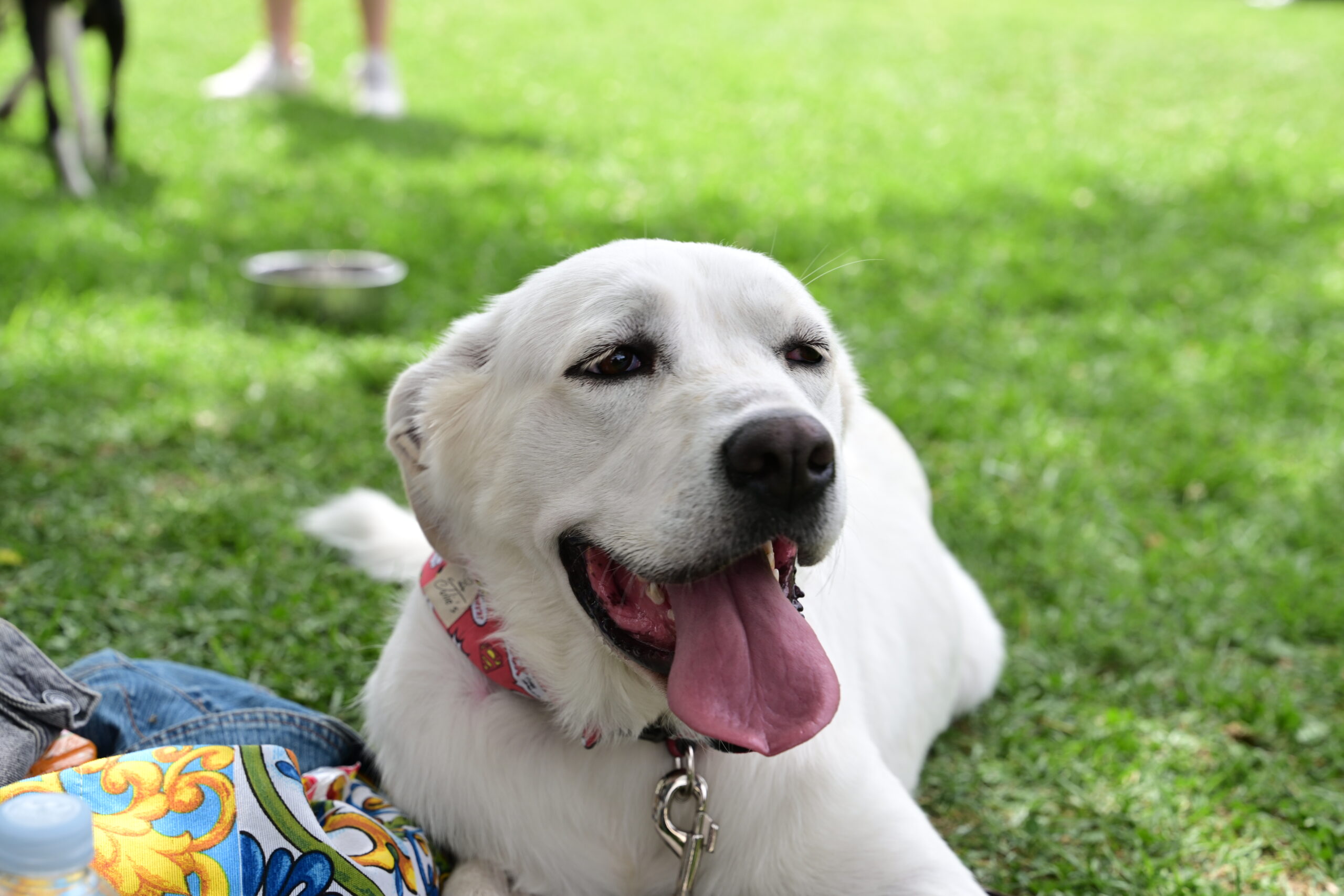 Πρωτοχρονιά