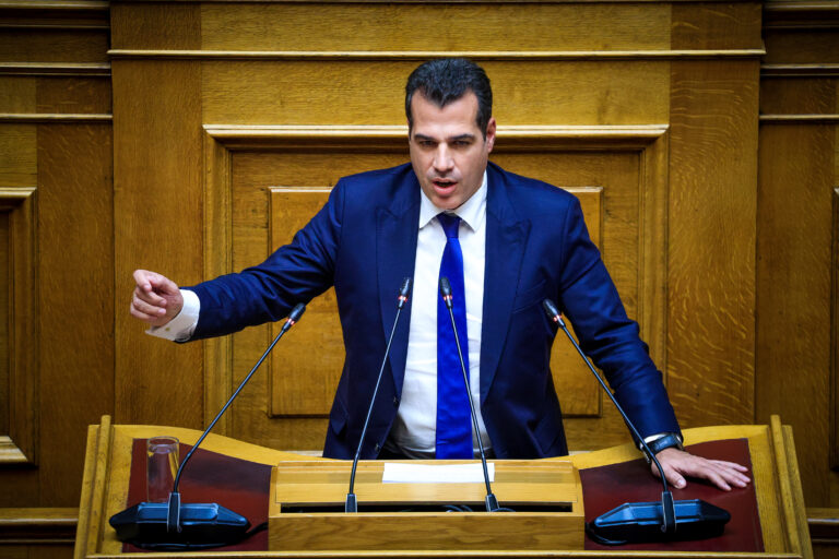 Θάνος Πλεύρης