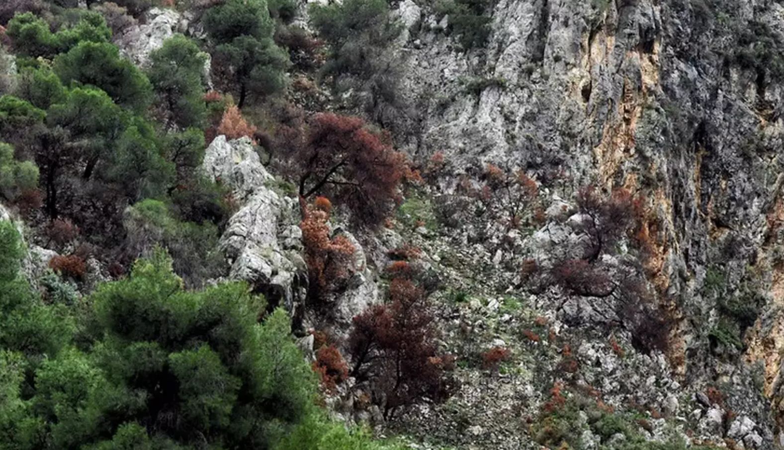 Σίκινος