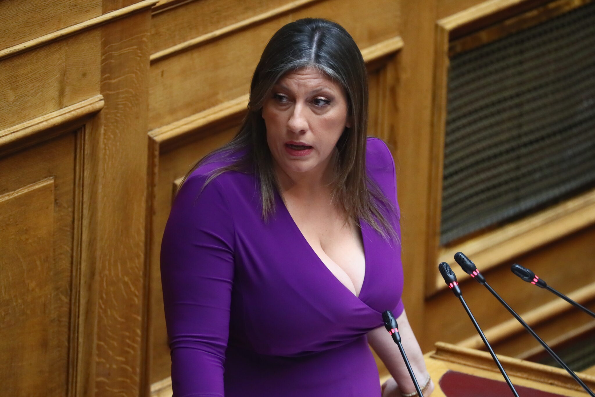 Πόθεν έσχες Ζωής Κωνσταντοπούλου: Ακίνητα, καταθέσεις και εισοδήματα