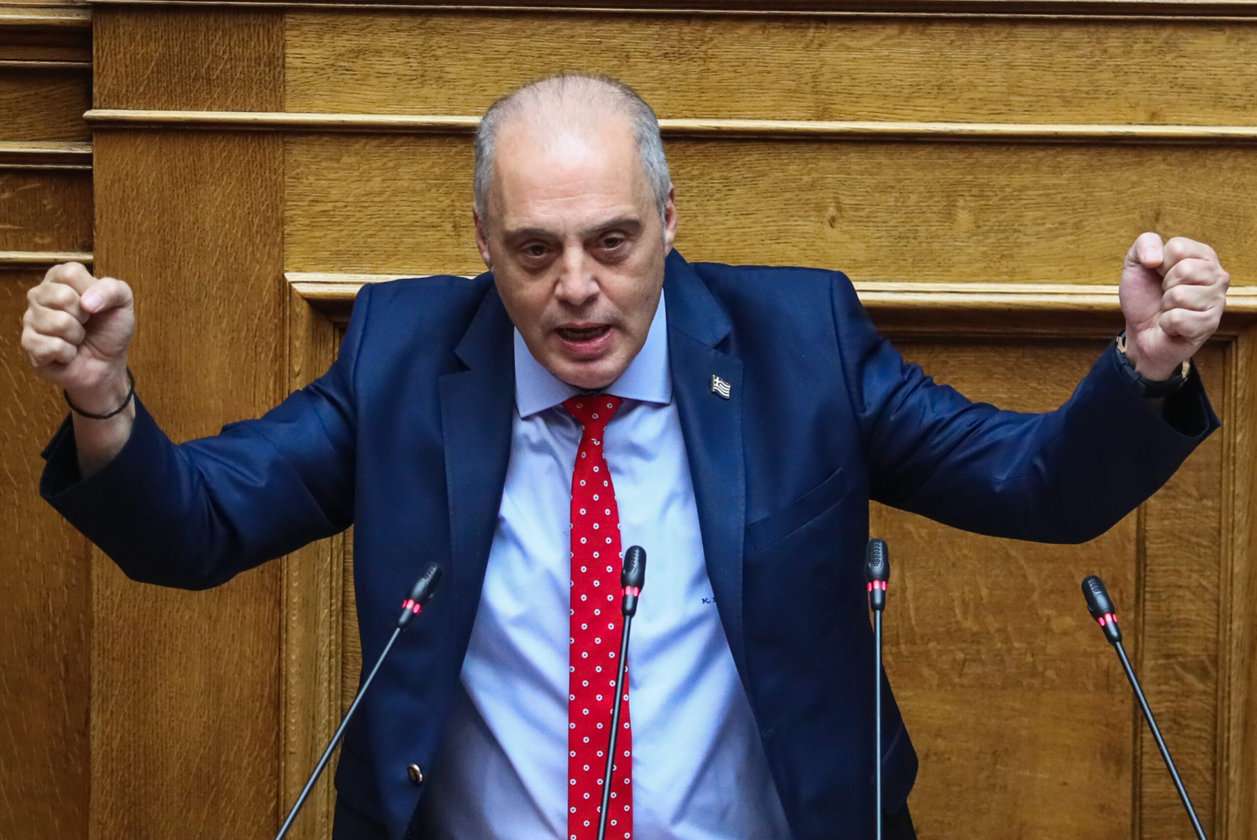 Βελόπουλος: Σφοδρή κριτική στην κυβέρνηση για τις αποζημιώσεις των πυρόπληκτων