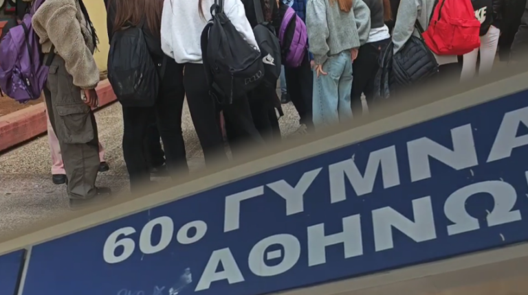 Κυψέλη