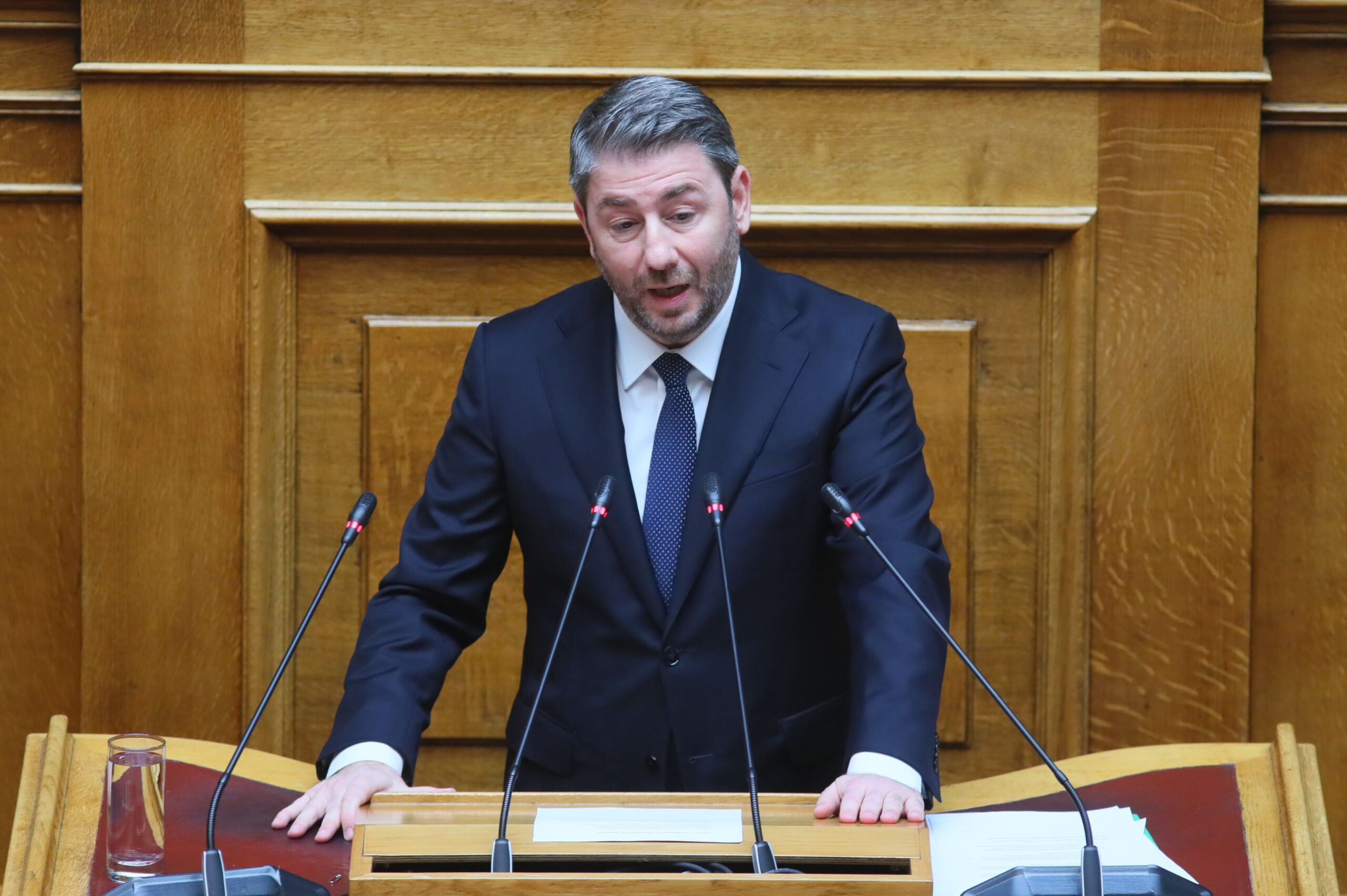 Νίκος Ανδρουλάκης