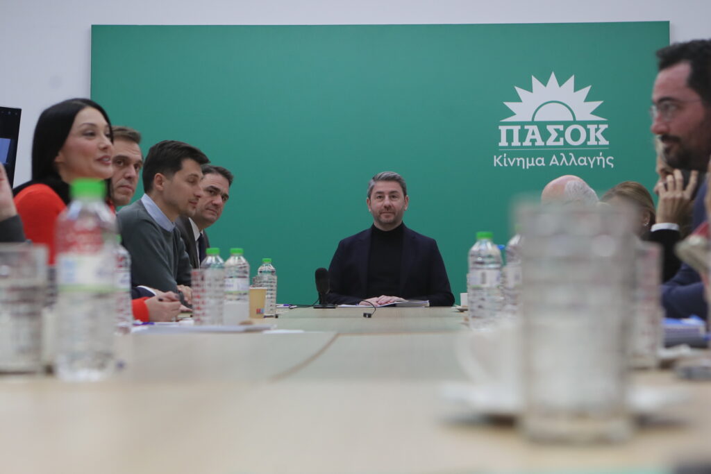 Νίκος Ανδρουλάκης