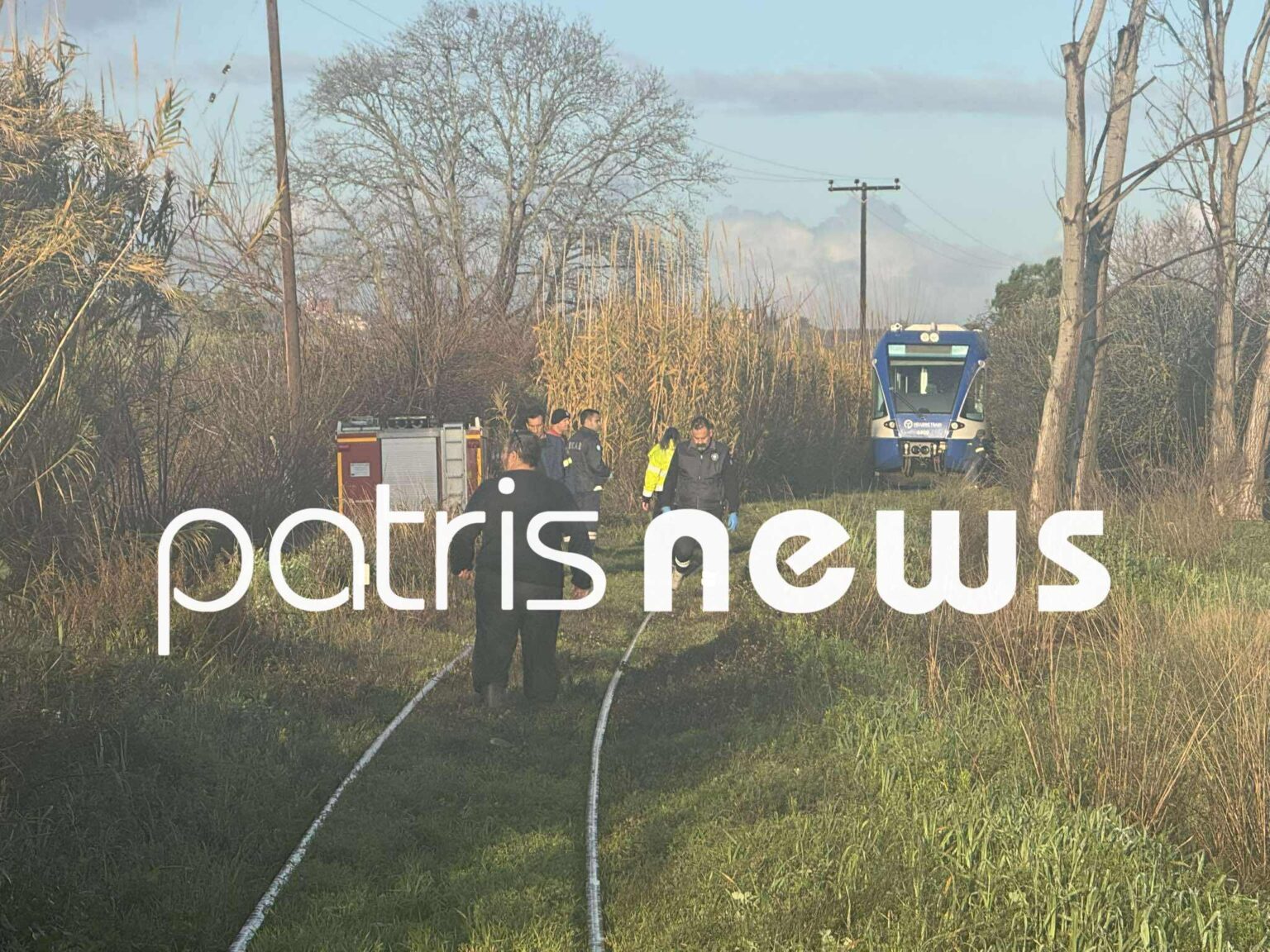 Πεύκο έπεσε πάνω σε τρένο που εκτελούσε το δρομολόγιο Πύργος – Κατάκολο – Στο νοσοκομείο ο μηχανοδηγός (Φωτό)