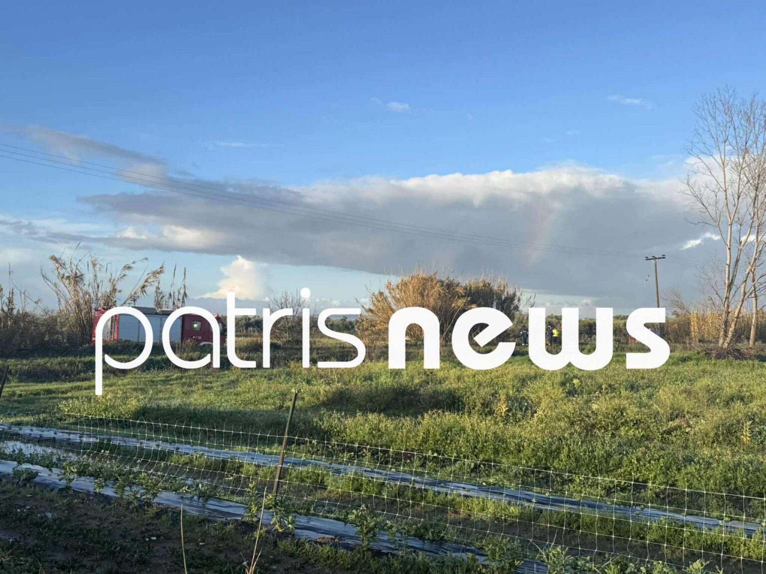 Πεύκο έπεσε πάνω σε τρένο που εκτελούσε το δρομολόγιο Πύργος – Κατάκολο – Στο νοσοκομείο ο μηχανοδηγός (Φωτό)