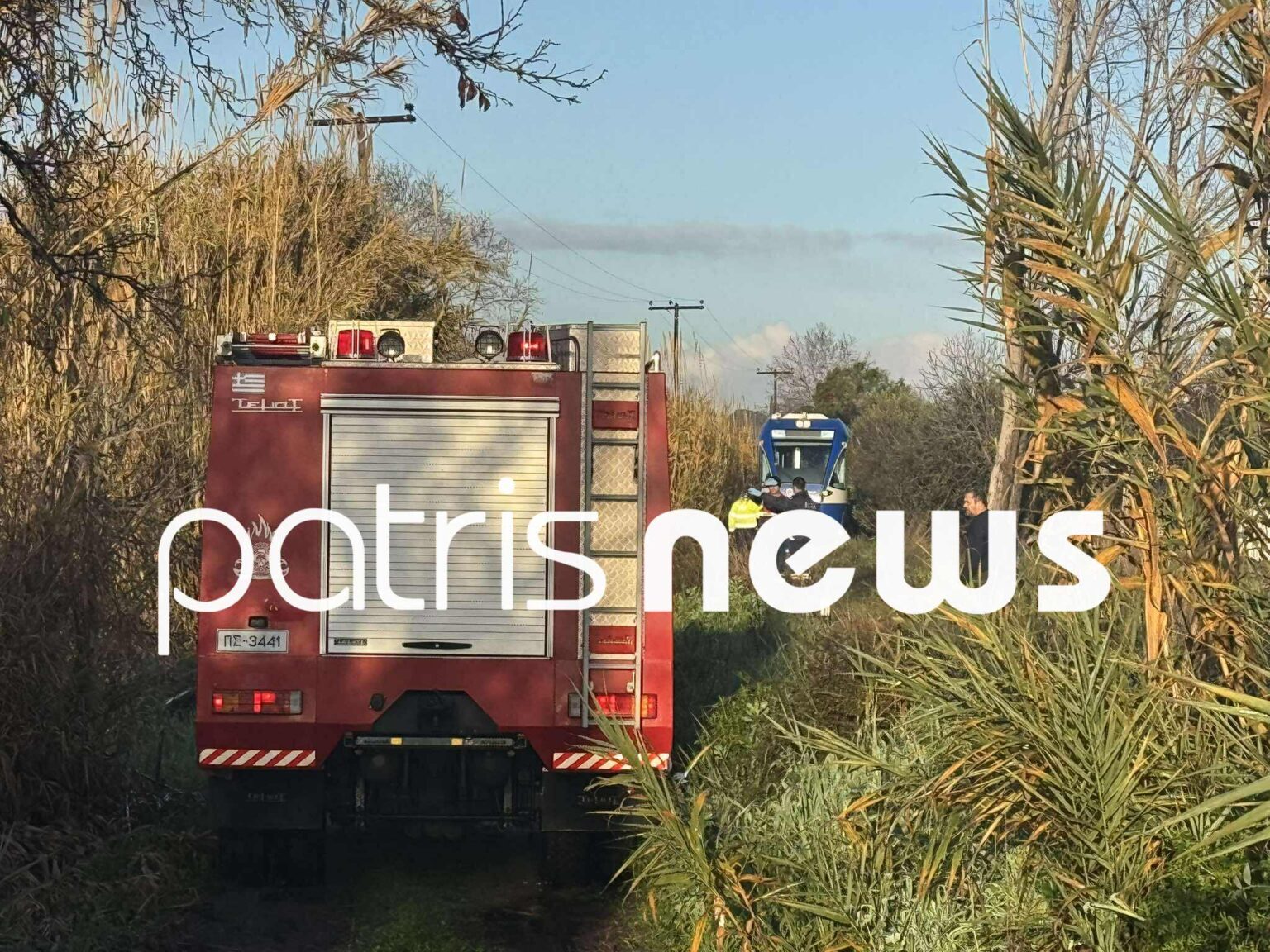 Πεύκο έπεσε πάνω σε τρένο που εκτελούσε το δρομολόγιο Πύργος – Κατάκολο – Στο νοσοκομείο ο μηχανοδηγός (Φωτό)