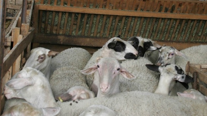 Υπουργείο Αγροτικής Ανάπτυξης και Τροφίμων