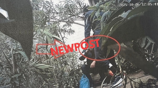 Πανεπιστημιούπολη