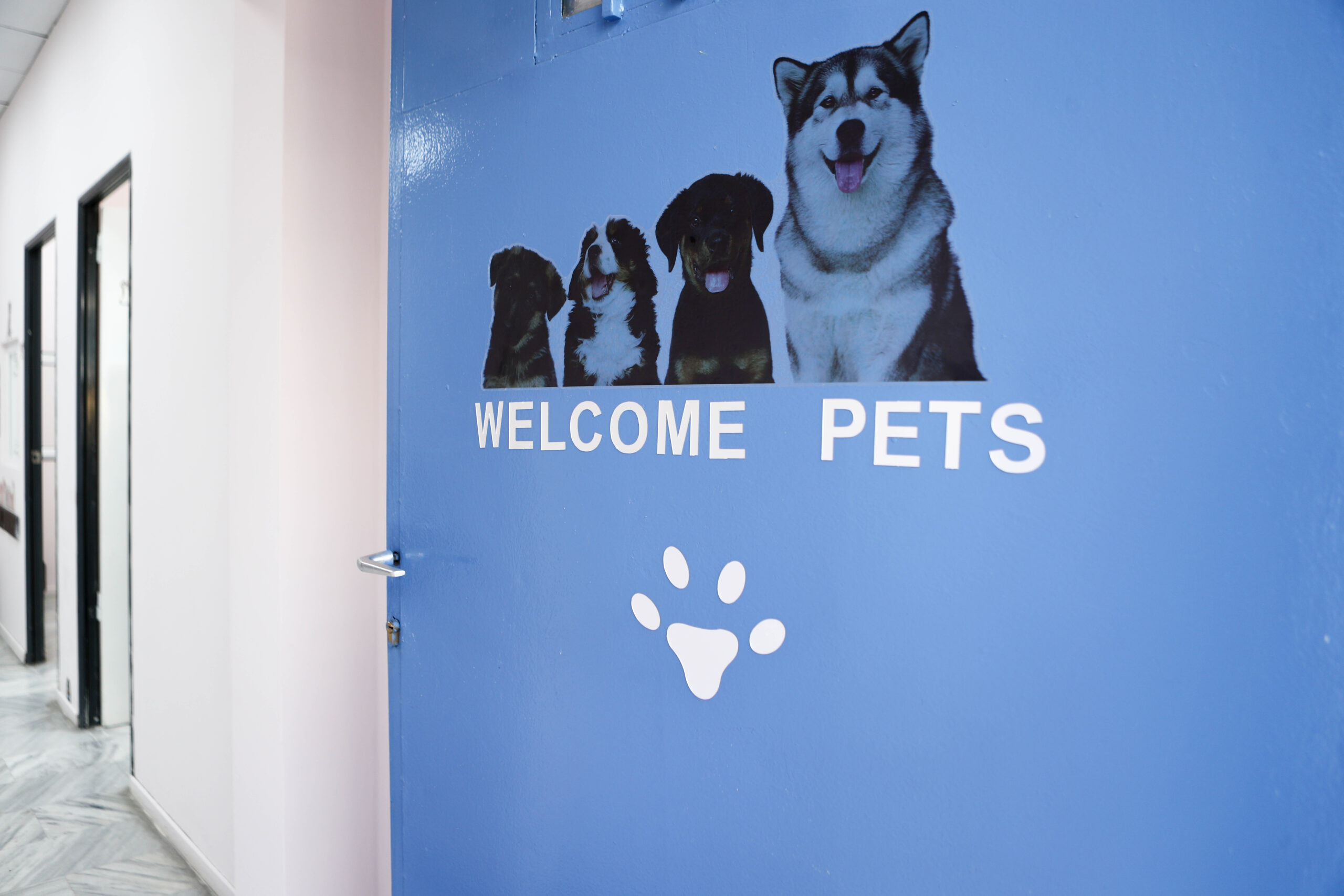 Κτηνιατρείο είσοδος