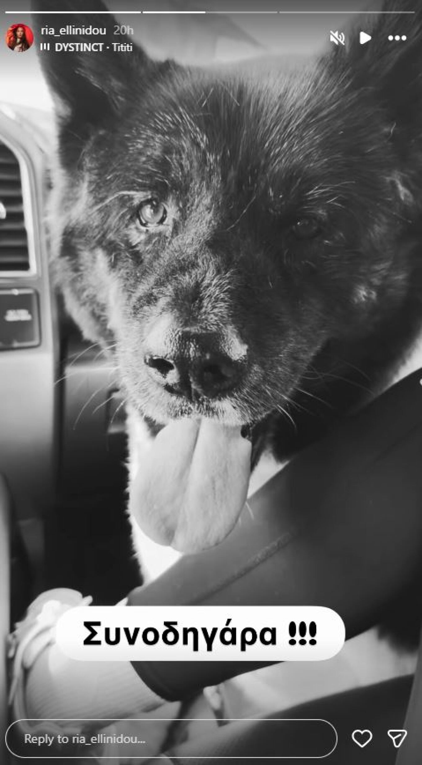 Ρία Ελληνίδου και Δημήτρης Αλεξάνδρου: Συναντήσεις στην Αράχωβα προκαλούν αντιδράσεις στα social media 4 Αράχωβα 4