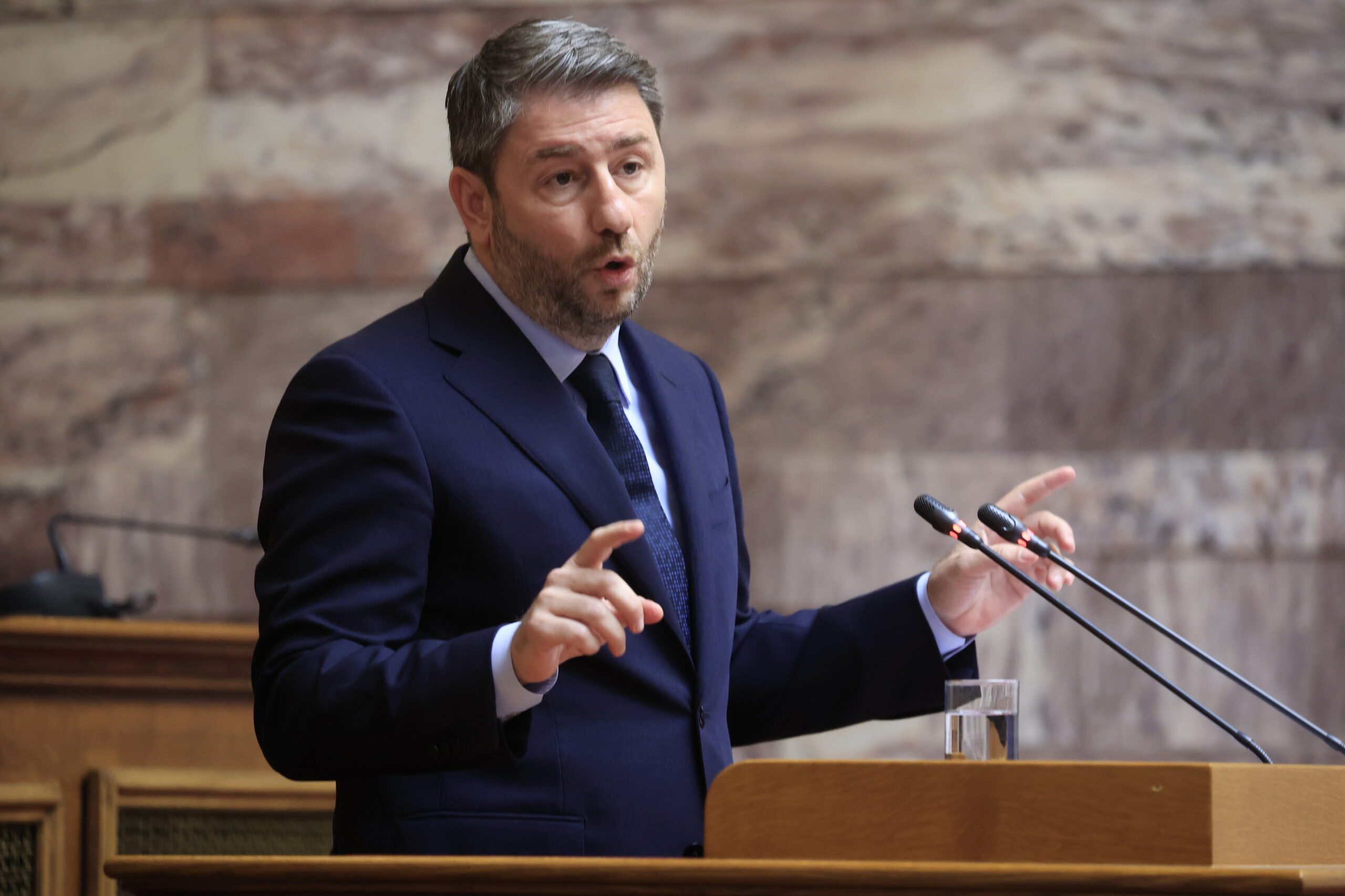 Νίκος Ανδρουλάκης