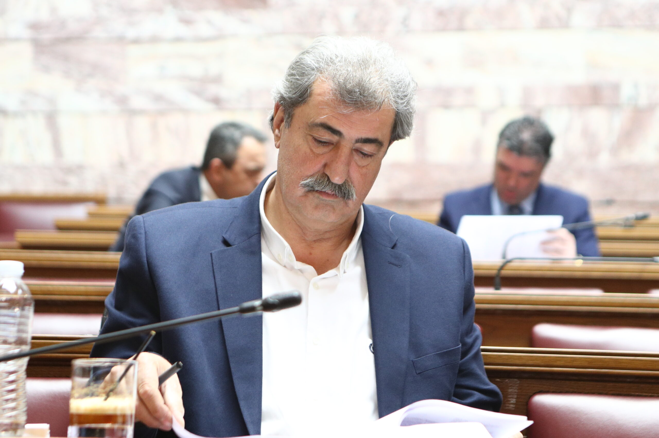 Πολάκης