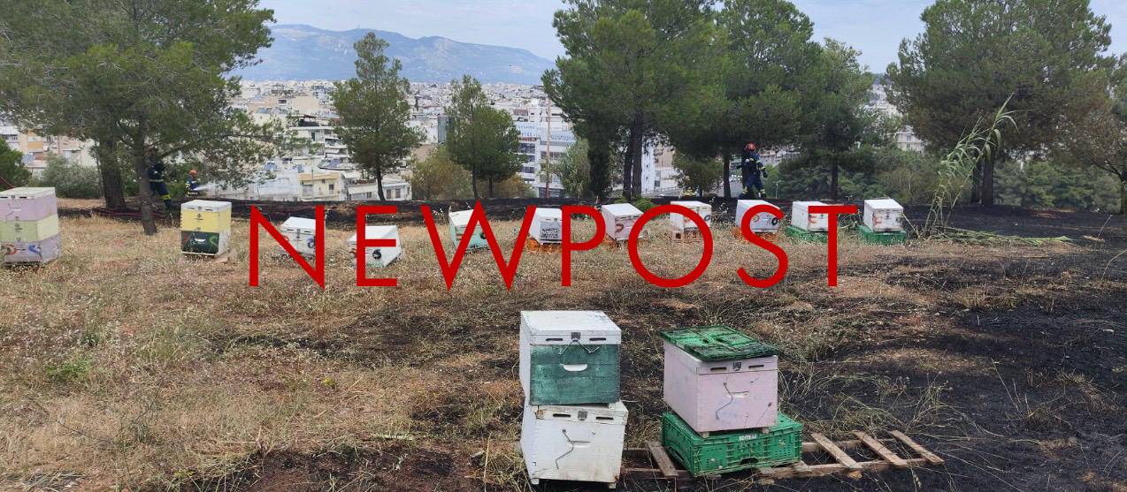 Άλσος Βεΐκου: Πιθανόν από μελίσσια ξεκίνησε η φωτιά – Αναζητούνται οι μελισσοκόμοι (Φωτό)
