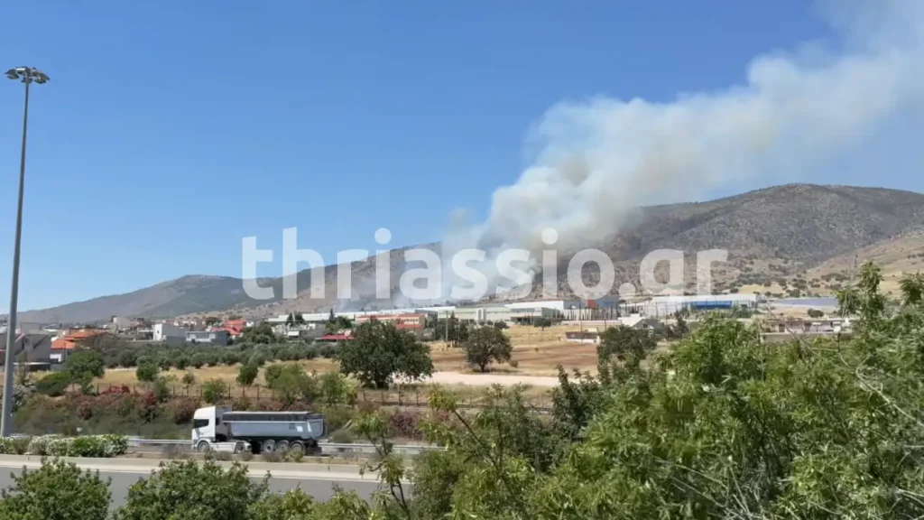 Ασπρόπυργος: Μεγάλη πυρκαγιά προκαλεί κινητοποίηση των πυροσβεστικών δυνάμεων για τη κατάσβεση.