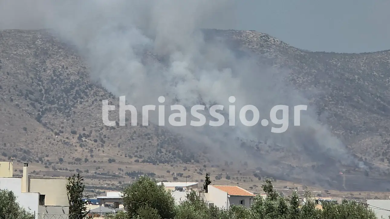Μεγάλη πυρκαγιά στον Ασπρόπυργο – Ενισχύθηκαν οι δυνάμεις της Πυροσβεστικής