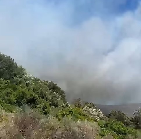 Πύρινος συναγερμός στην Κορινθία: Δύο μέτωπα σε Άνω Αλμυρή και Αγγελόκαστρο – Υπό έλεγχο η πυρκαγιά στα Σπάτα