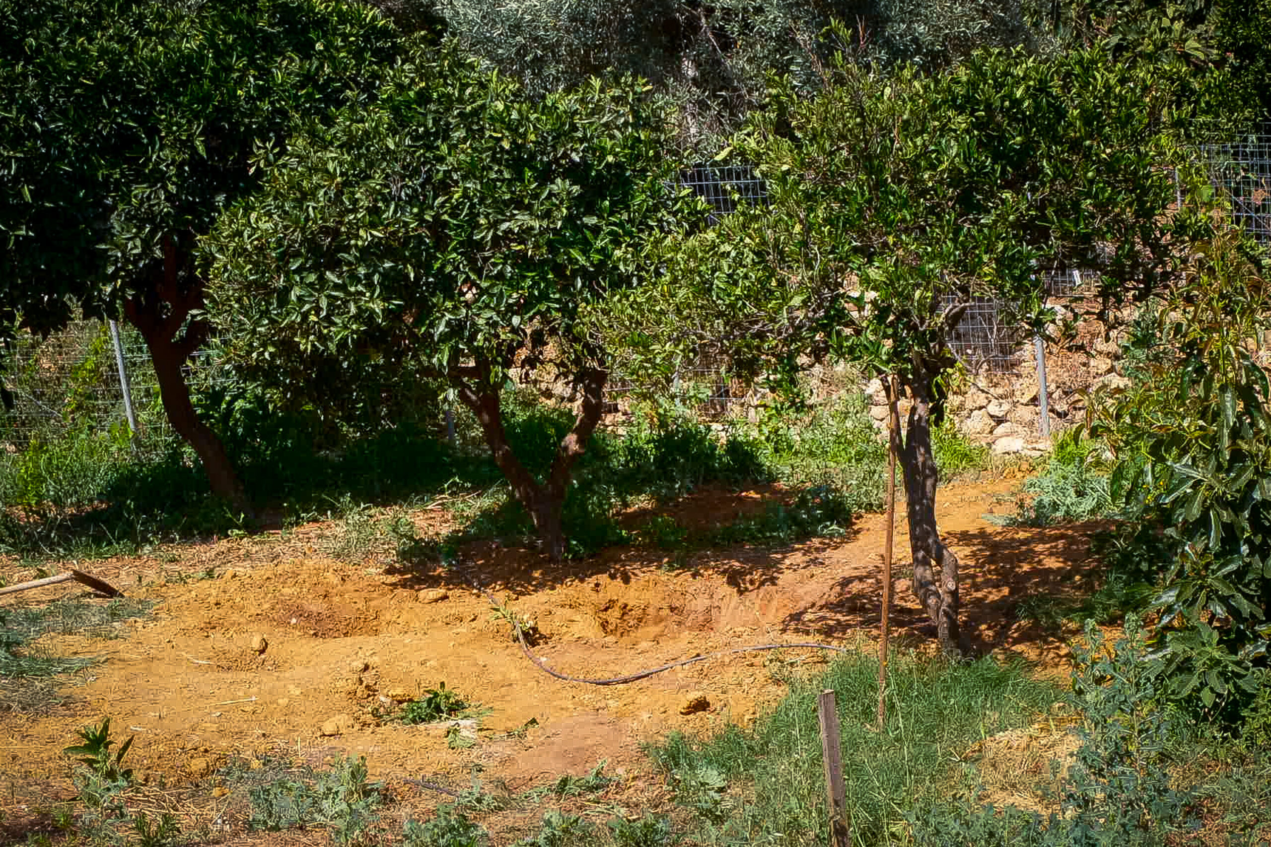 Δολοφονία Σταυρούλας Λεβεντάκη στα Χανιά: Το Bluestar αποκάλυψε το αίμα και «φώτισε» το άγριο έγκλημα (Βίντεο)