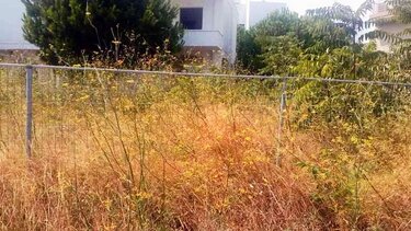 Τελεσίγραφο Κυβέρνησης στους Δήμους – Ρίξτε πρόστιμα για τα ακαθάριστα οικόπεδα (Βίντεο)