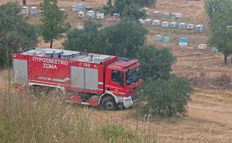 Φωτιά στο Άλσος Βεΐκου: Τα ίχνη οδηγούν σε 46χρονο μελισσοκόμο – Τι εξετάζουν οι Αρχές (Βίντεο)