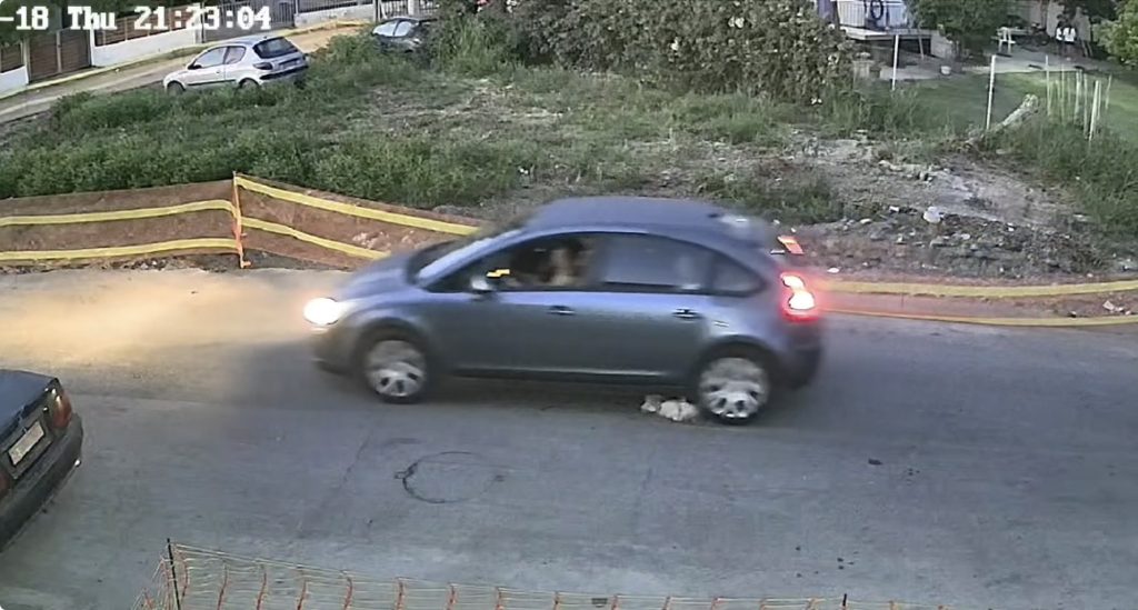 Βίντεο-σοκ στη Γαστούνη: Σταματά μπροστά στον σκύλο και λίγα δευτερόλεπτα αργότερα περνά από πάνω του