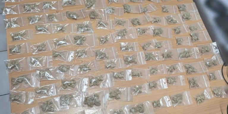 Διακίνηση ναρκωτικών στην Πανεπιστημιούπολη Ζωγράφου: Συνελήφθη 21χρονος