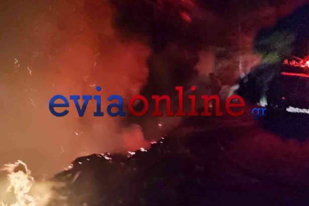 Εύβοια: Πυρκαγιές από κεραυνούς κινητοποίησαν ισχυρές πυροσβεστικές δυνάμεις