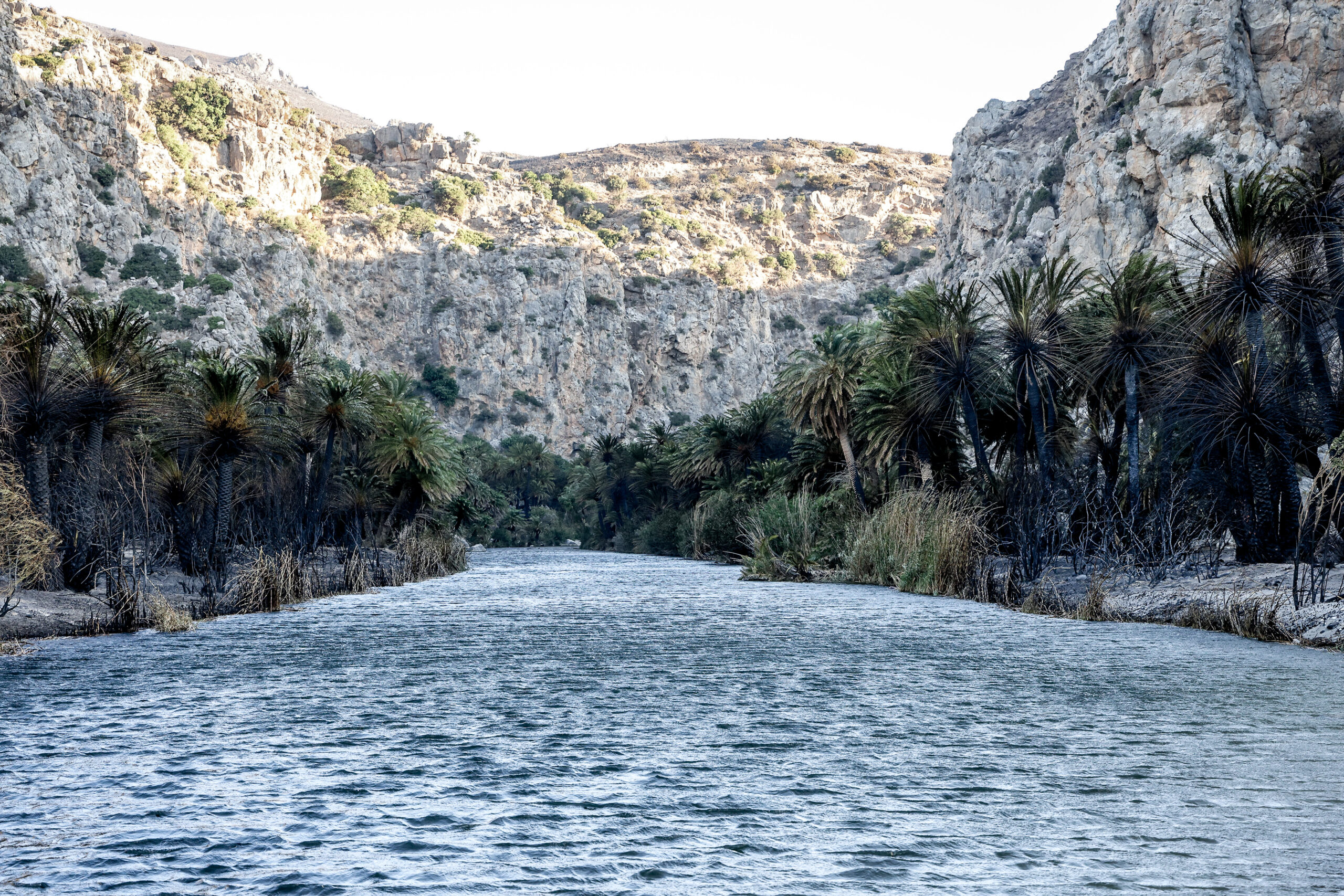 Βελτιωμένη η εικόνα της φωτιάς στο νότιο Ρέθυμνο – Σημαντική η συμβολή και των εθελοντών