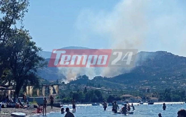 Φωτιά και στην Αχαΐα: Κατακαίει κοντά σε σπίτια στην περιοχή της Αιγιαλείας (Βίντεο)