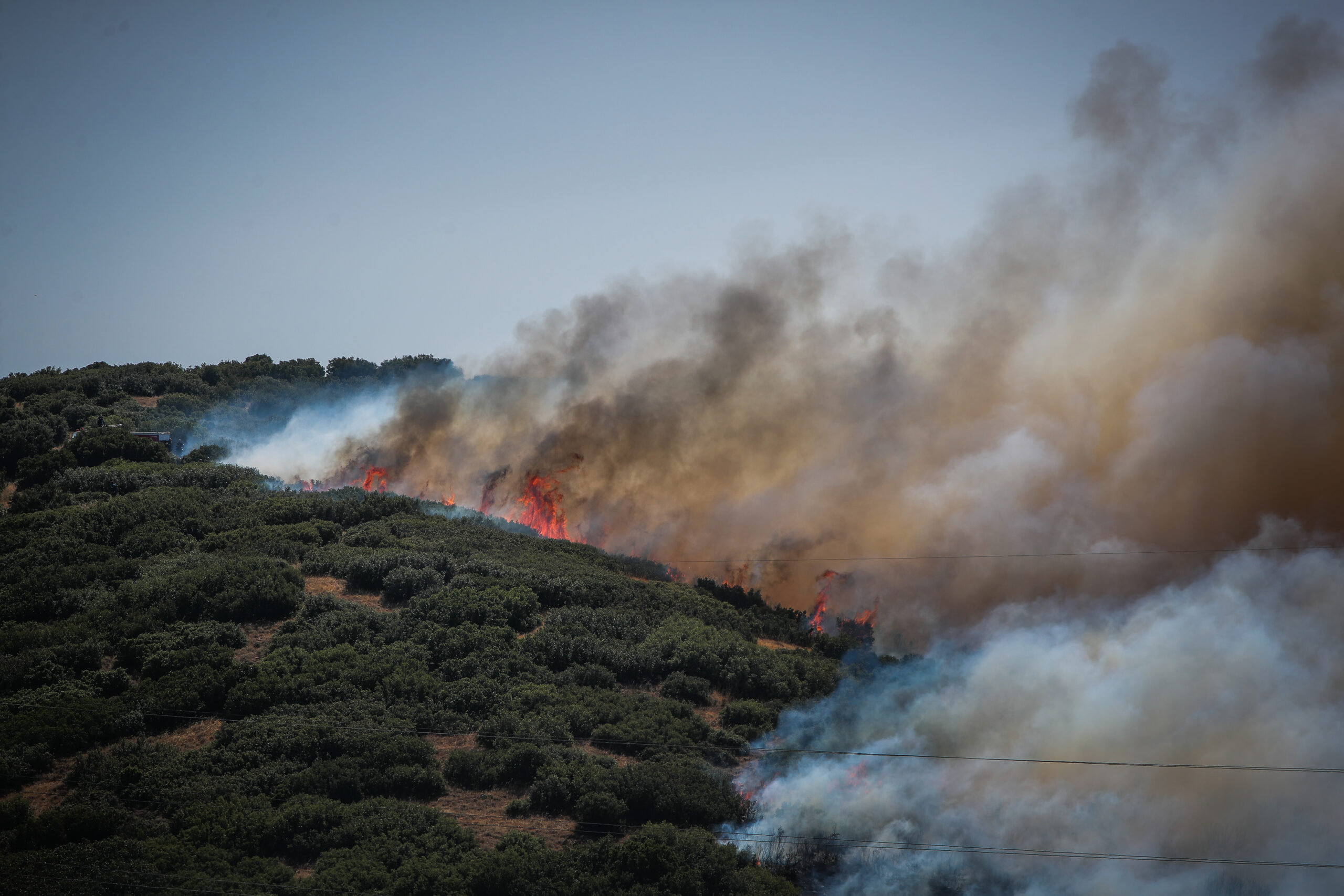 Δύο συλλήψεις για πυρκαγιές από αμέλεια σε Έβρο και Γρεβενά