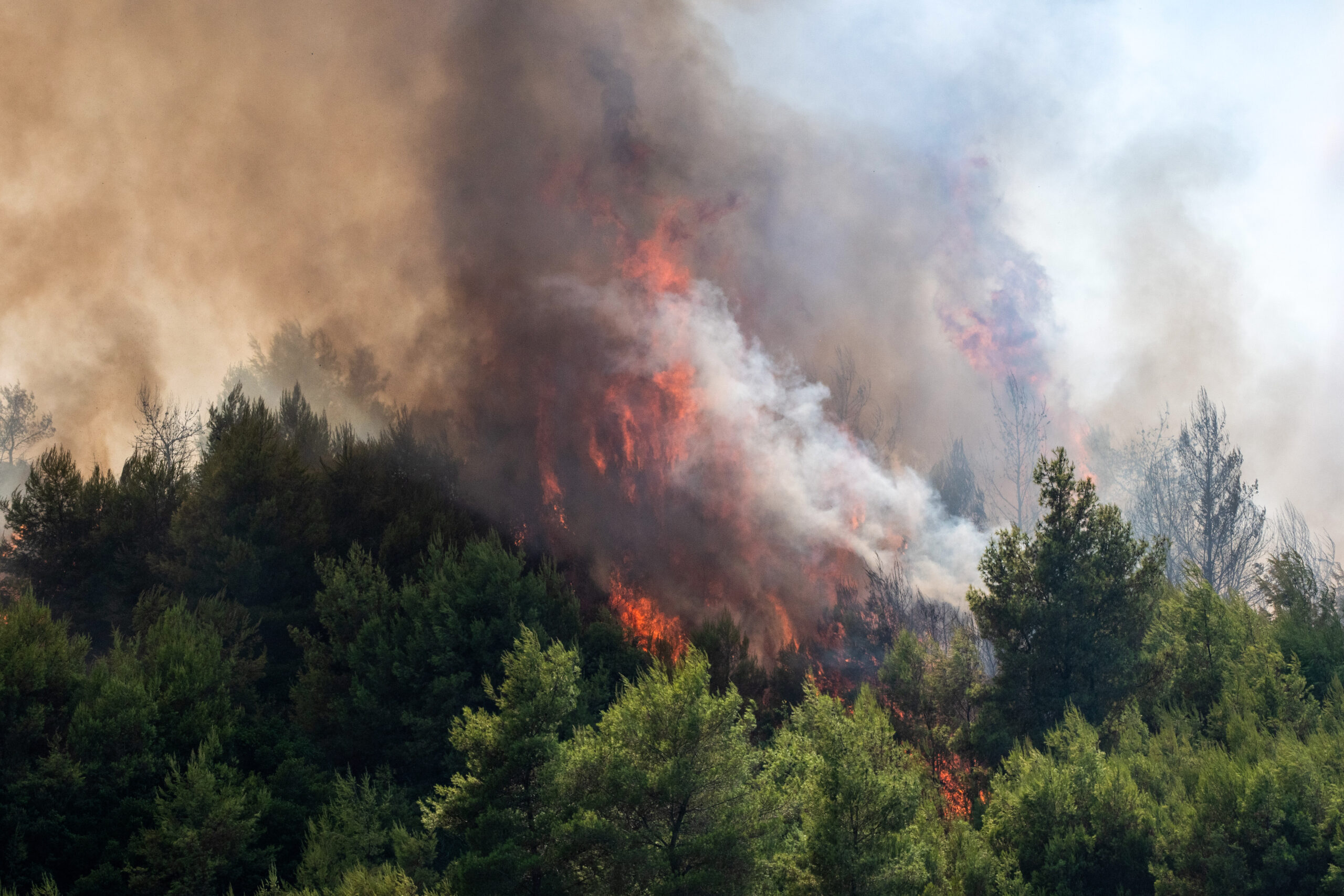Αιτωλοακαρνανία: Φωτιά σε δασική έκταση στο Ανθόφυτο – Eπιχειρούν 6 εναέρια μέσα