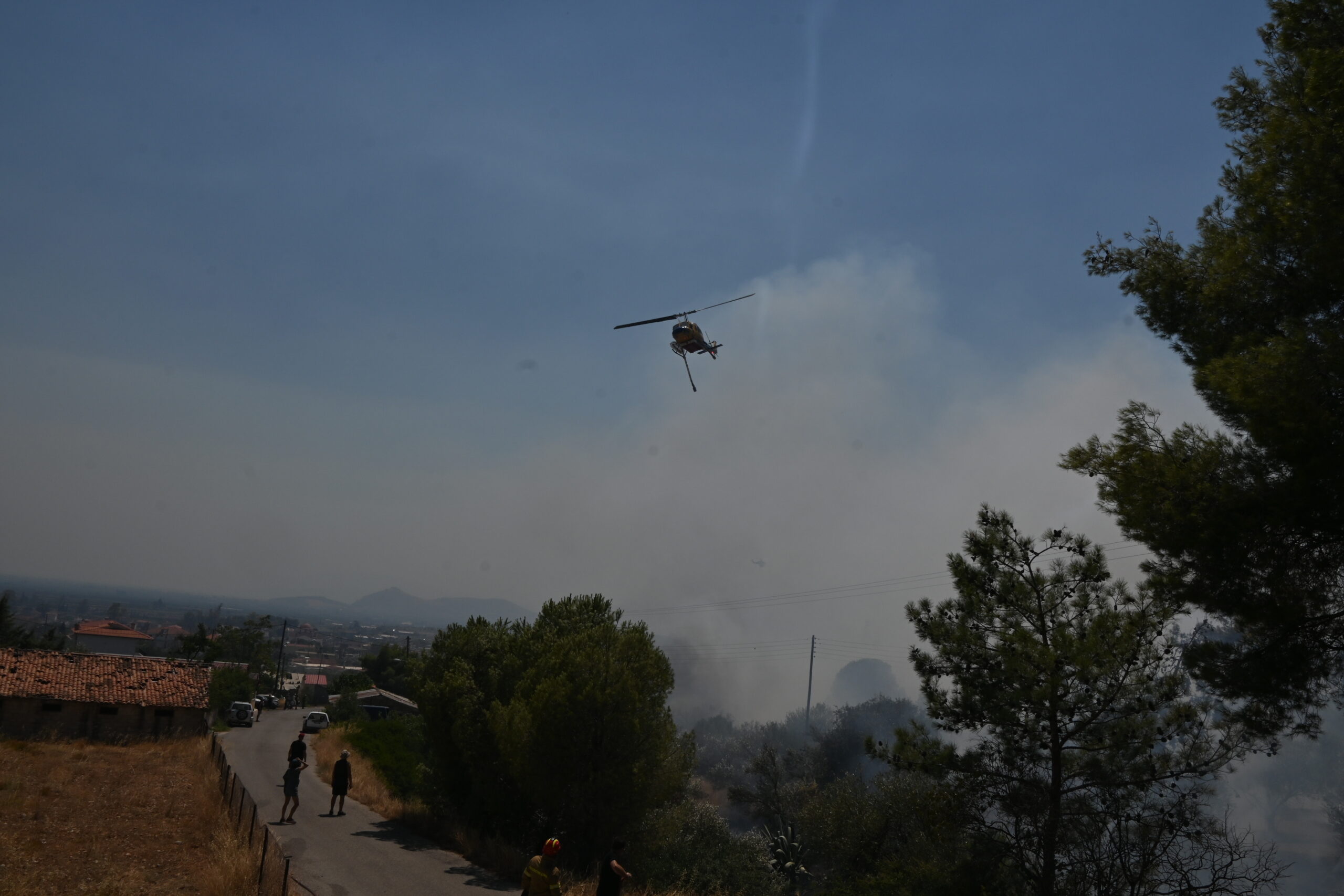 Άρτα: Φωτιά τώρα σε δασική έκταση στο Κομπότι  – Mήνυμα του 112 για ετοιμότητα