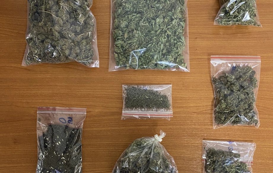 Πιερία: Χειροπέδες σε 62χρονο που καλλιεργούσε δενδρύλλια κάνναβης