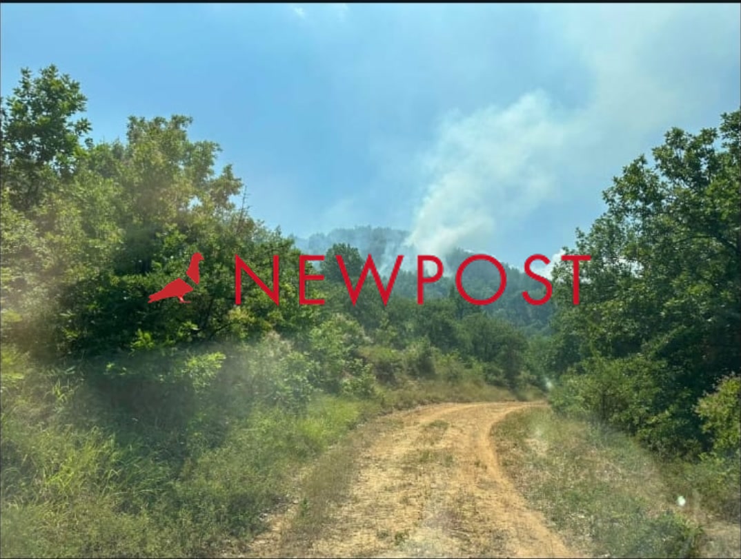 Καρδίτσα: Φωτιά σε δασική έκταση στο Μουζάκι – Επιχειρούν εναέρια μέσα
