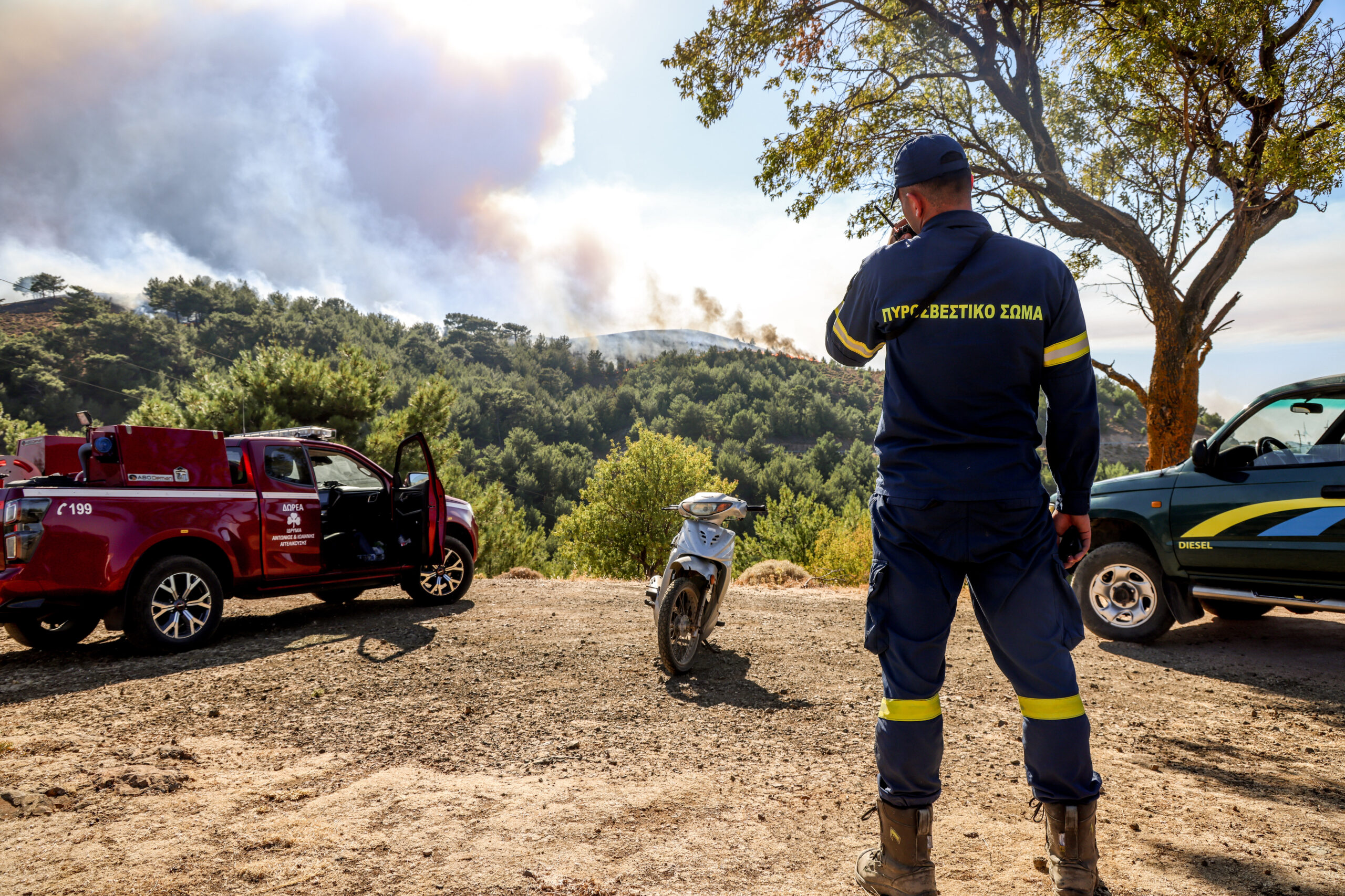 Φωτιά στην Ελάτεια Φθιώτιδας – Ισχυρές δυνάμεις στο σημείο, επιχειρούν έξι εναέρια μέσα