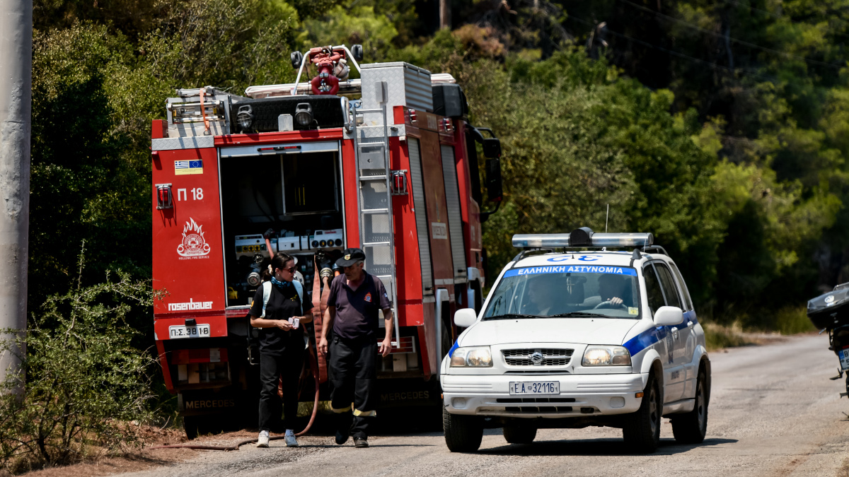Μεσσηνία: Συνελήφθησαν πυροσβέστης και δύο ακόμη άνδρες για επτά εμπρησμούς