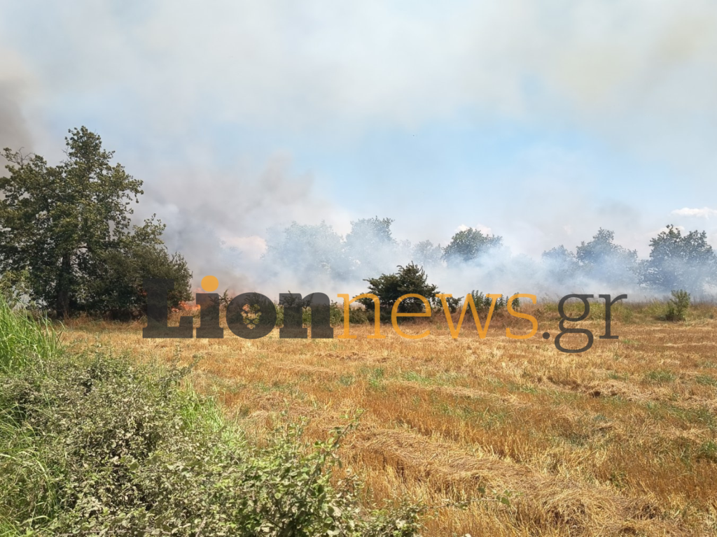 Φωτιά στις Σέρρες: Μήνυμα 112 για εκκένωση της Οινούσσας – Οι φλόγες απειλούν σπίτια και επιχειρήσεις (Βίντεο)