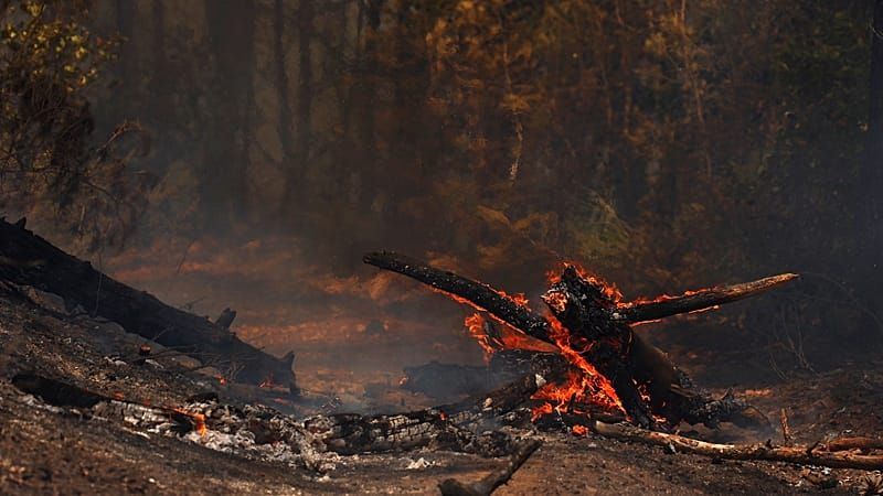 Πύρινος εφιάλτης στη Νότια Γαλλία: 20.000 άνθρωποι εγκαταλείπουν τα σπίτια τους – «Οι φλόγες μας κυνηγούν» (Βίντεο)