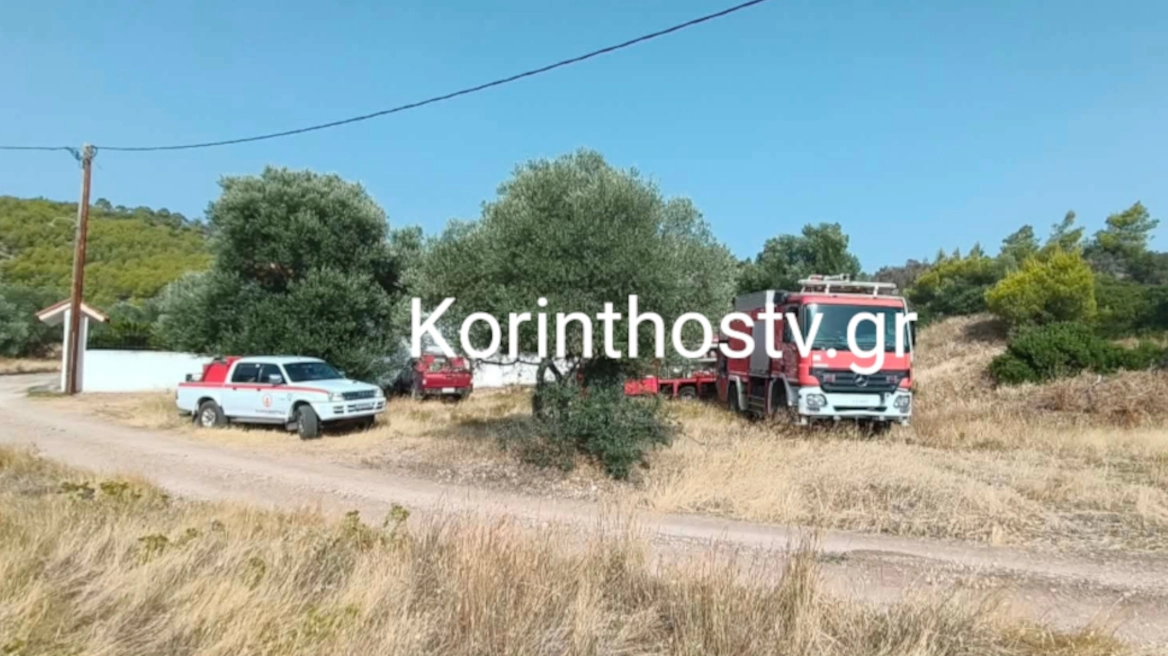 Φωτιά στην Περαχώρα Λουτρακίου – Μεγάλη κινητοποίηση της Πυροσβεστικής κοντά στη λίμνη Βουλιαγμένης (Βίντεο)