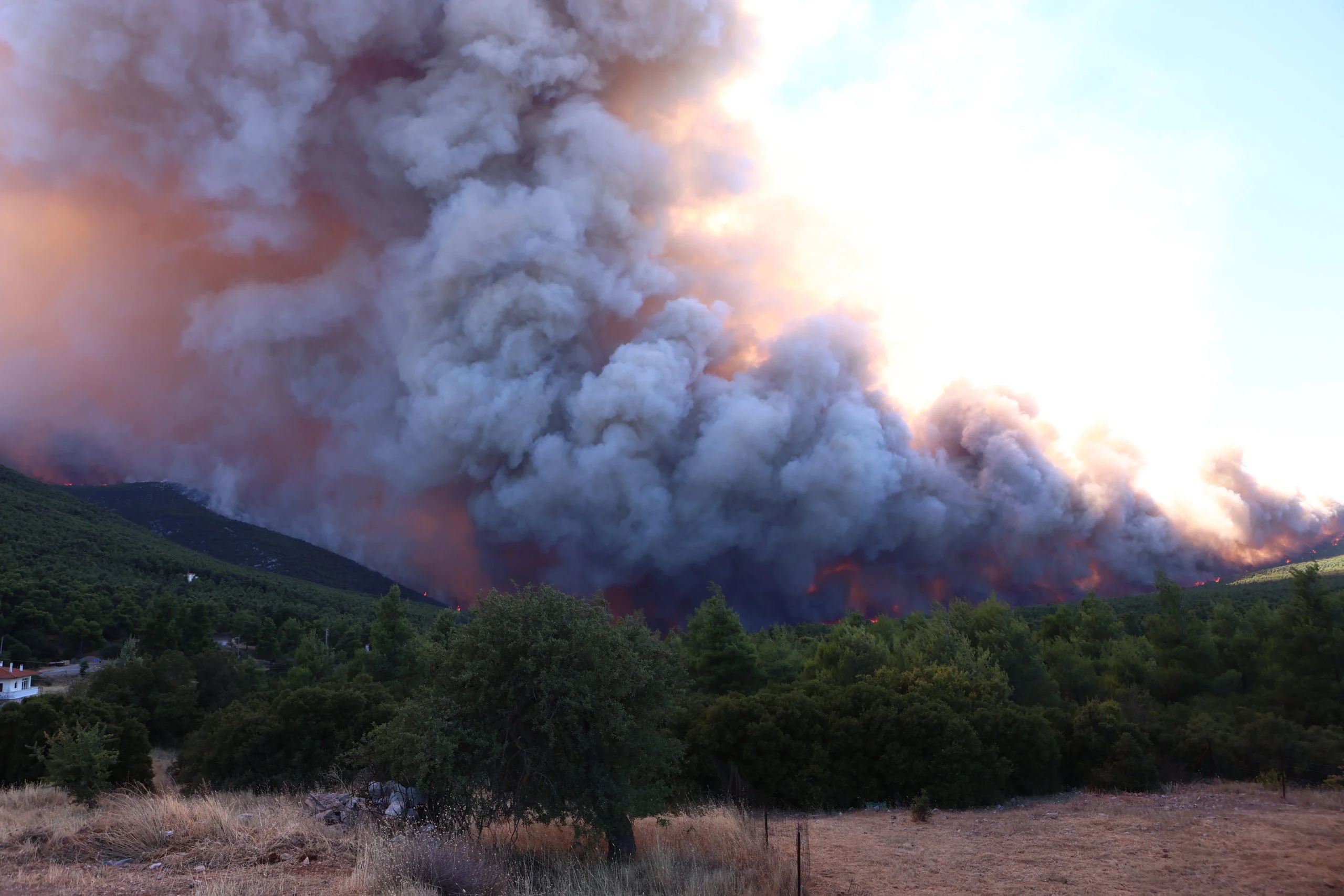 Καπνός από Πόρτο Γερμενό, Φωκίδα και Αιγιάλεια σκεπάζει τον Κορινθιακό – Τι δείχνει η προσομοίωση του AtmoHub
