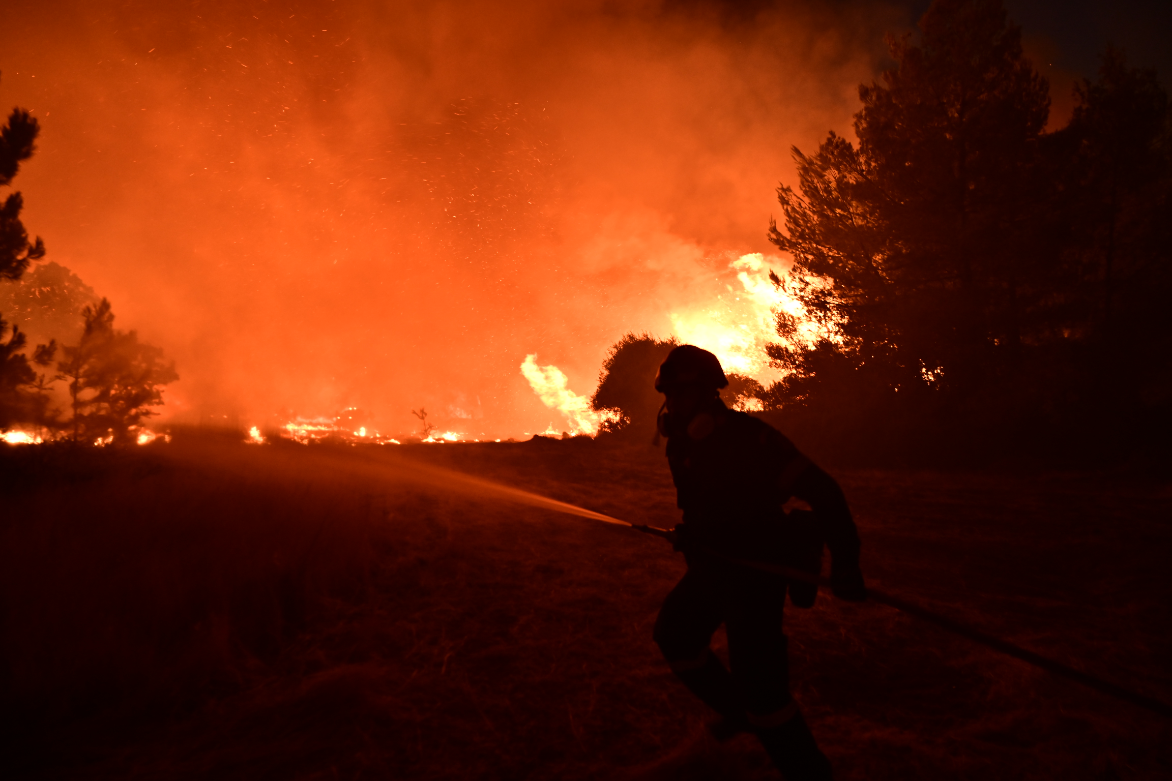 Δύσκολη νύχτα στα πύρινα μέτωπα σε Βοιωτία και Σαλαμίνα – Μάχη να περιοριστεί η εξάπλωση της φωτιάς (Βίντεο)
