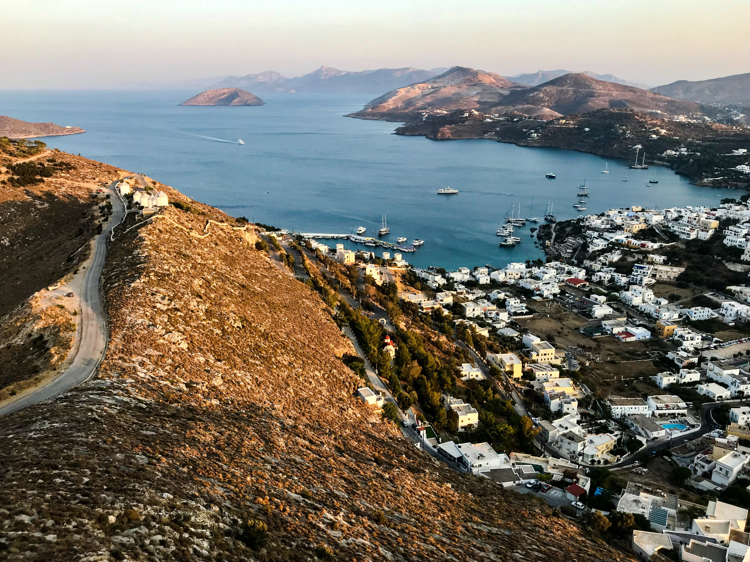 Αυτό είναι το εξωτικό φρούτο που καλλιεργείται μόνο σε ελληνικό νησί