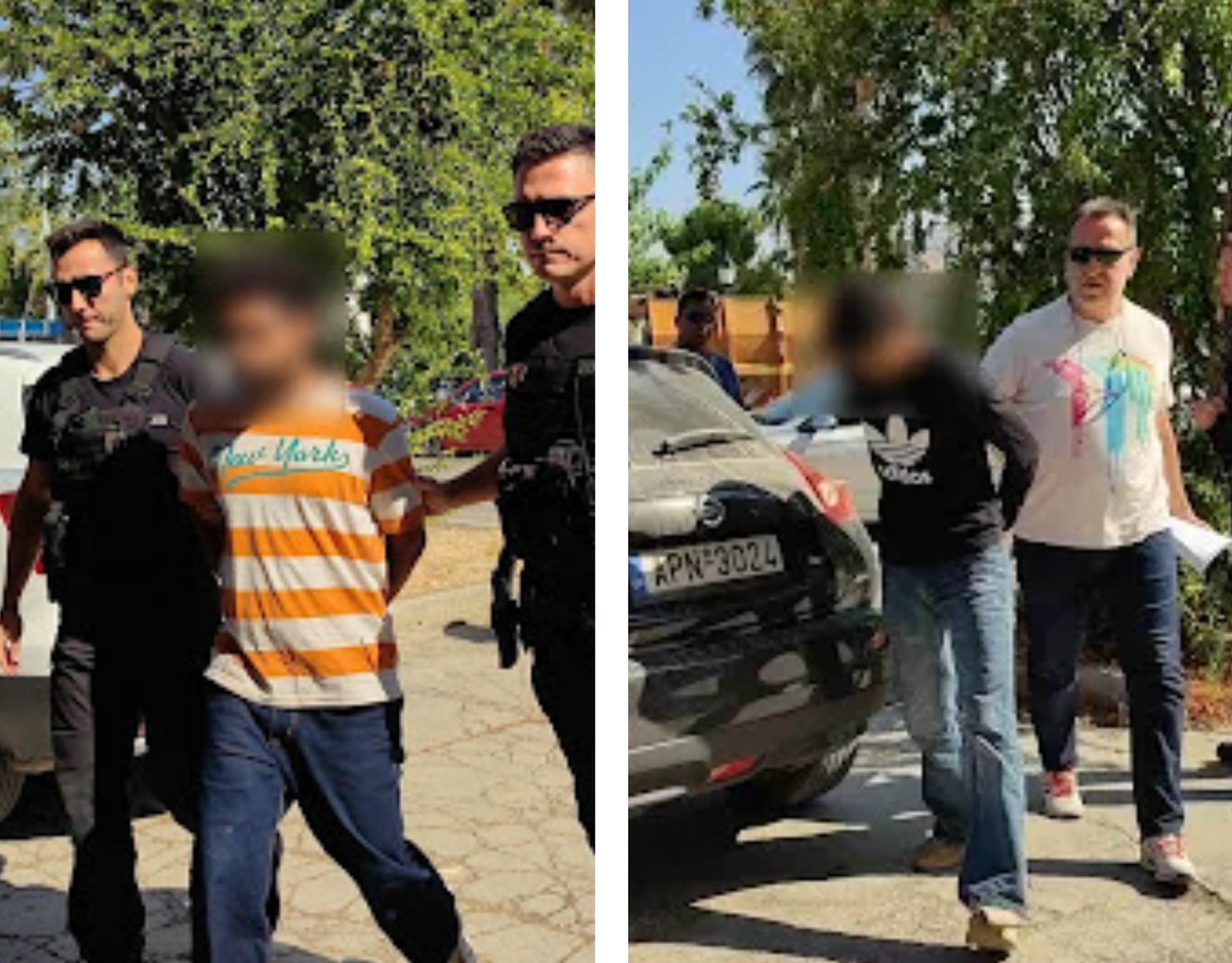 Ναύπλιο: Προθεσμία να απολογηθούν έλαβαν οι δύο Ινδοί για τη δολοφονία του ψυχολόγου (Βίντεο)
