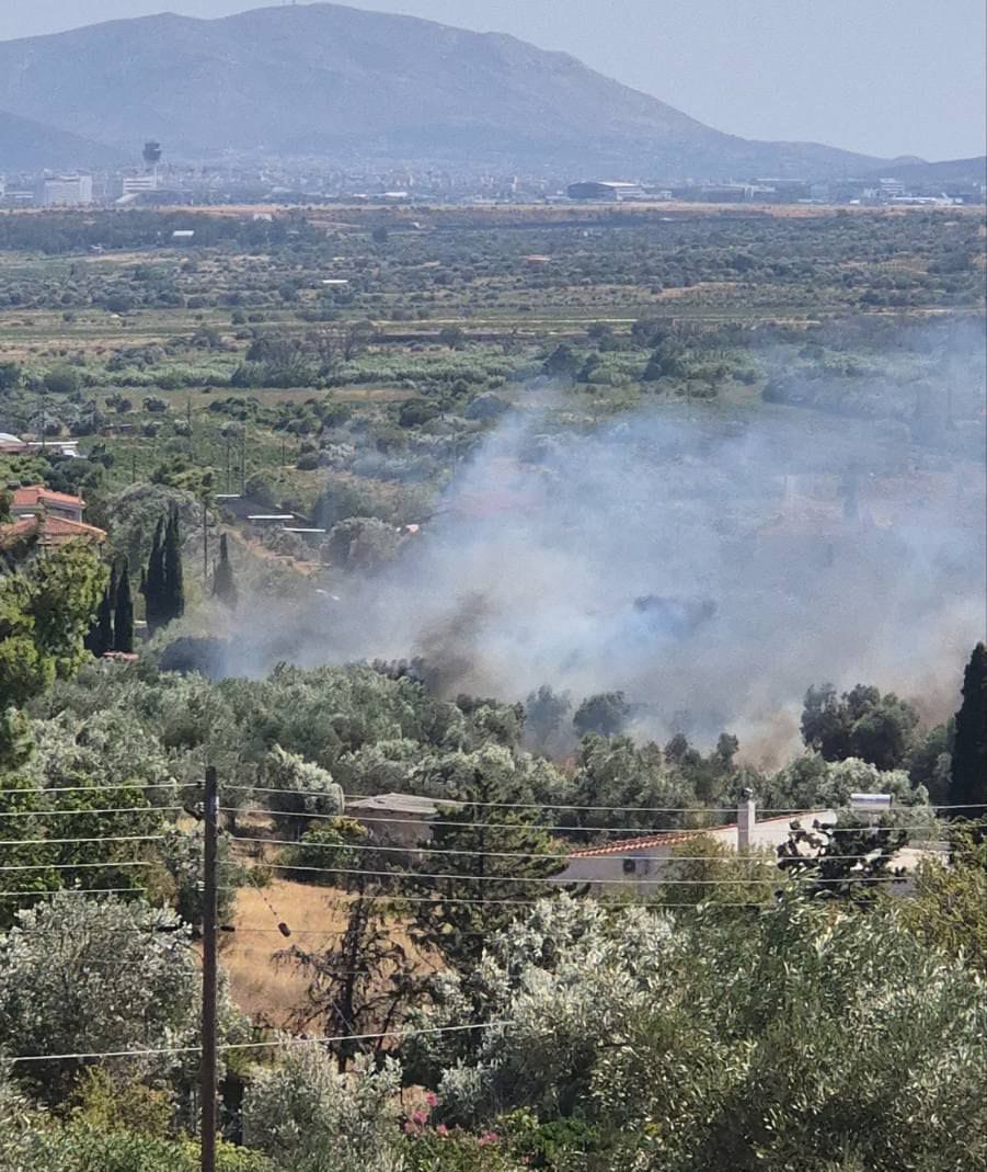 Ένας νεκρός από τη φωτιά στα Σπάτα – Από το αυτοκίνητό του ξεκίνησε η πυρκαγιά