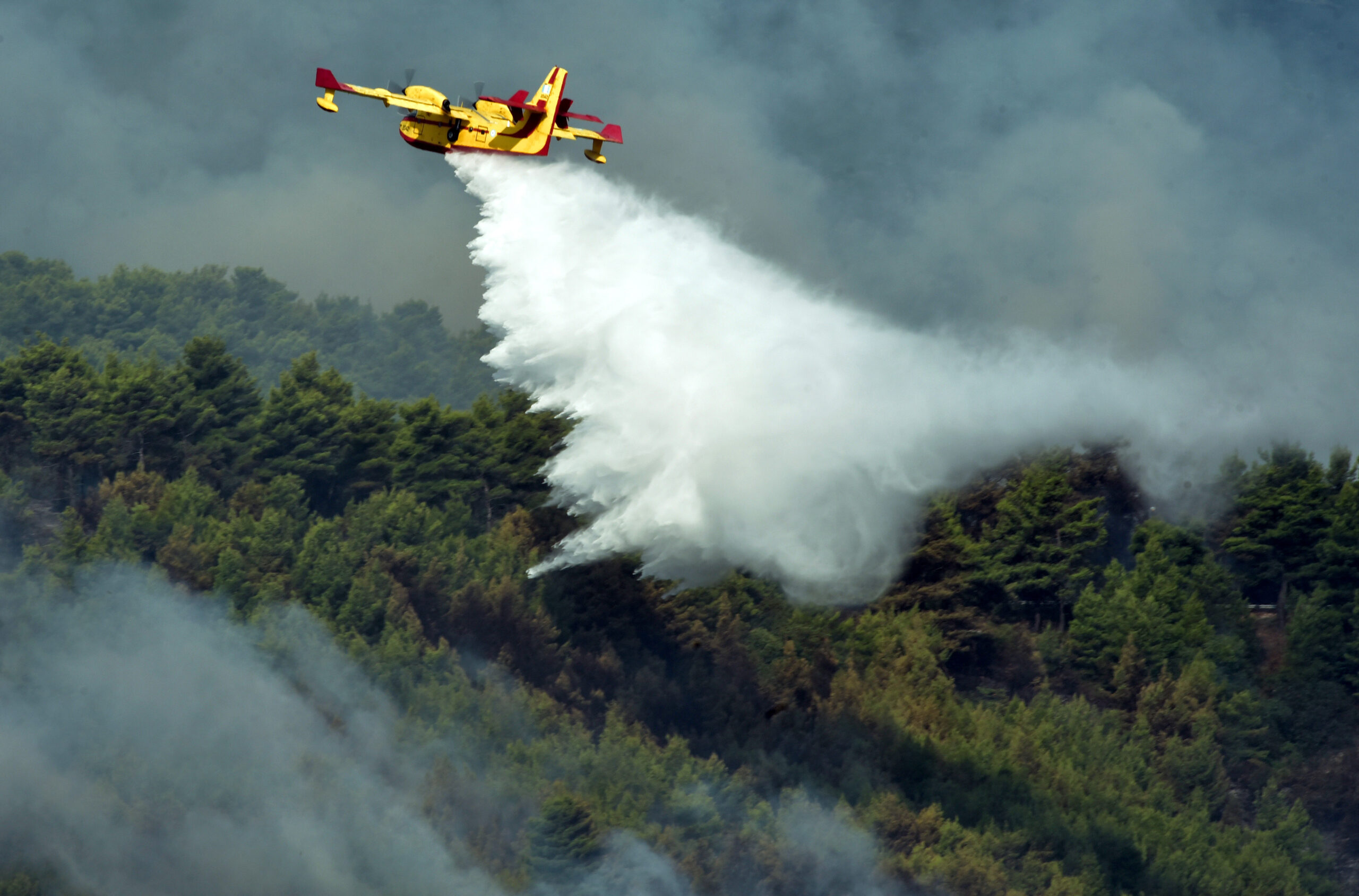 Κόνιτσα: Φωτιά σε δασική έκταση – Επιχείρηση με επίγειες δυνάμεις και 2 ελικόπτερα