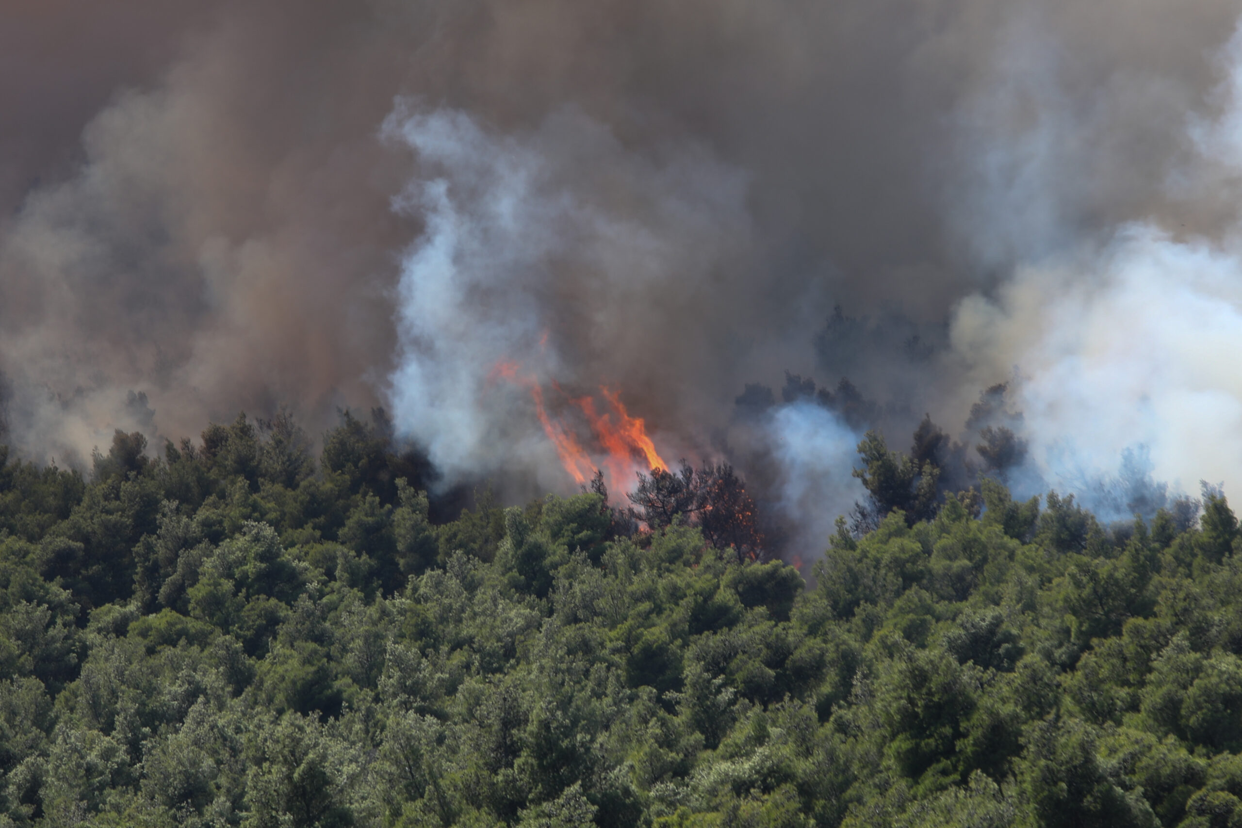 Πυρκαγιά σε δασική έκταση στην Αιτωλοακαρνανία