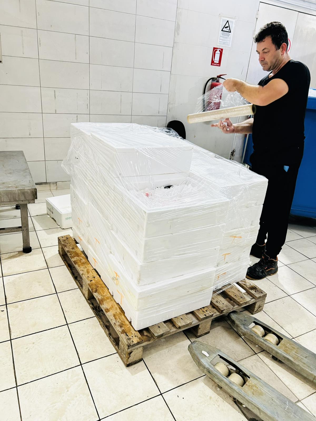Χανιά: Δύο συλλήψεις για κλοπή ψαριών από ιχθυοκαλλιέργεια – Έφτασαν τα 860 κιλά τα αλιεύματα