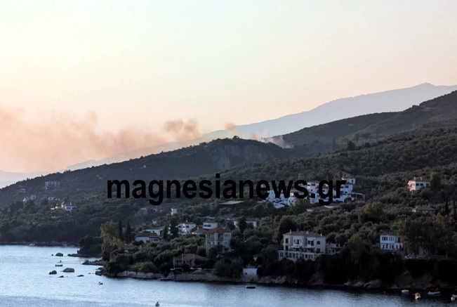 Πυρκαγιά στο Πήλιο στην παραλία Πάου – Μήνυμα από 112